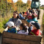Apfelernte im Herbst 2013 Fahrt mit dem Apfelzügchen